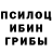 Псилоцибиновые грибы Magic Shrooms Devid Fadswefer