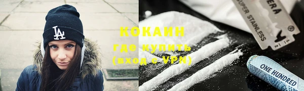 молекула духа Богданович