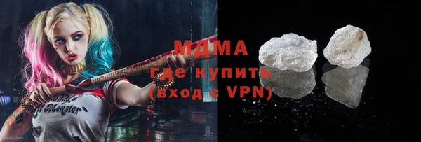 молекула духа Богданович