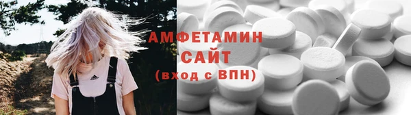 молекула духа Богданович