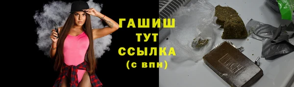 молекула духа Богданович