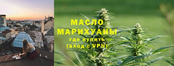 молекула духа Богданович